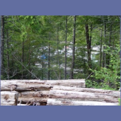 2005_0689_Houghton_Woodlot_Belize_Inlet.html