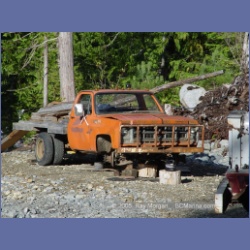 2005_0696_Houghton_Woodlot_Belize_Inlet.html