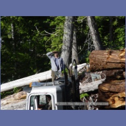 2005_0699_Houghton_Woodlot_Belize_Inlet.html