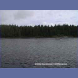 2000_055_Blunden_Harbour.html