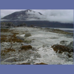 2002_353_Bunsby_Islands_Checleset_Bay.html