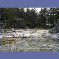 2002_361_Bunsby_Islands_Checleset_Bay.html