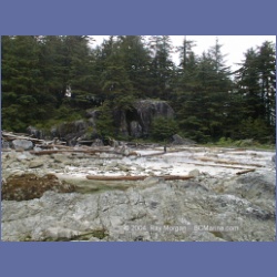 2002_362_Bunsby_Islands_Checleset_Bay.html