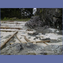 2002_363_Bunsby_Islands_Checleset_Bay.html