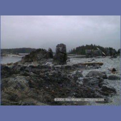 2002_366_Bunsby_Islands_Checleset_Bay.html