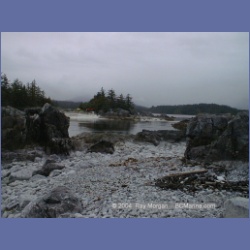 2002_368_Bunsby_Islands_Checleset_Bay.html