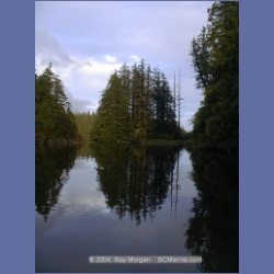 2002_372_Bunsby_Islands_Checleset_Bay.html