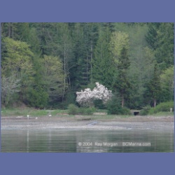 2004_6094_Burgoyne_Bay.html
