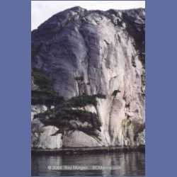 1997_burke_channel132.html