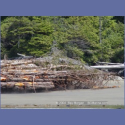 2004_6376_Burnett_Bay.html