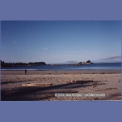 1997_calvert155.html