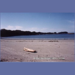 1997_calvert157.html