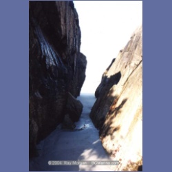 1997_calvert167.html
