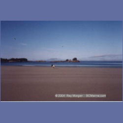 1997_calvert16a.html