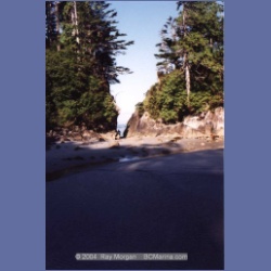 1997_calvert16f.html