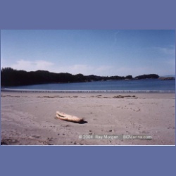 1997_calvert170.html