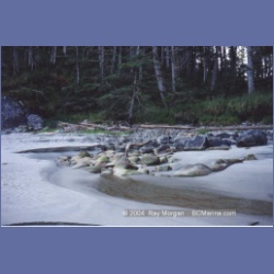 1997_calvert172.html