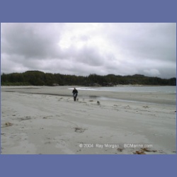1999_016_Calvert_Island.html