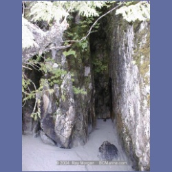 1999_019_Calvert_Island.html