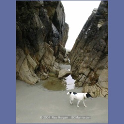 1999_027_Calvert_Island.html