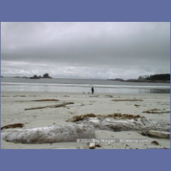 1999_028_Calvert_Island.html