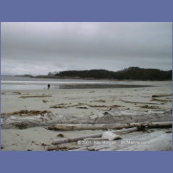 1999_029_Calvert_Island.html