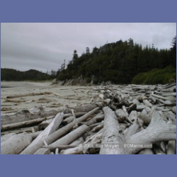 1999_030_Calvert_Island.html
