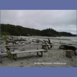 1999_032_Calvert_Island.html