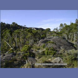 1998_943_Campania_Island.html