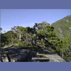 1998_948_Campania_Island.html