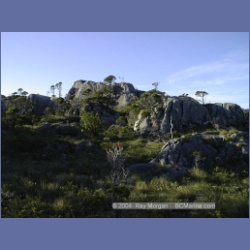 1998_950_Campania_Island.html