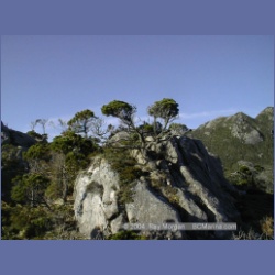 1998_951_Campania_Island.html
