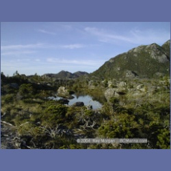 1998_954_Campania_Island.html