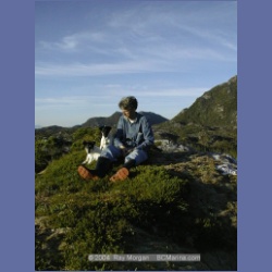 1998_956_Campania_Island.html