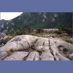 1998_campania01.html