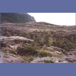 1998_campania02.html