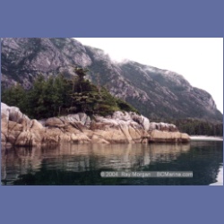 1998_campania04.html
