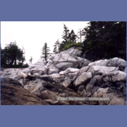 1998_campania05.html