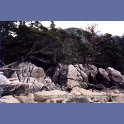 1998_campania06.html
