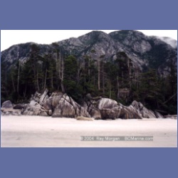 1998_campania07.html
