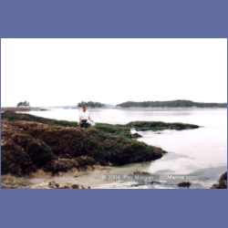 1998_campania09.html