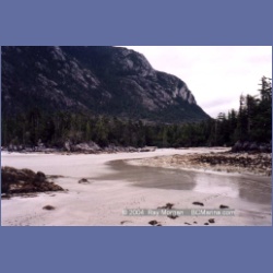 1998_campania11.html