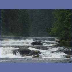 2005_0860_Canoona_River.html