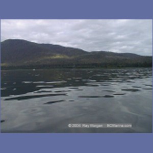1999_150_Cape_Fanshaw.jpg