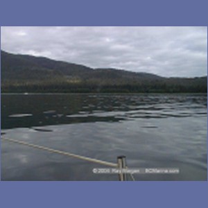 1999_152_Cape_Fanshaw.jpg