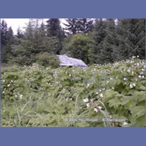1999_158_Cape_Fanshaw.jpg