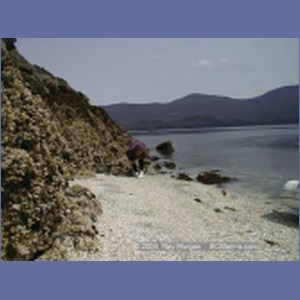 1999_170_Fanshaw_Bay.jpg
