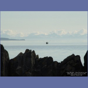 2006_0938_Cape_Fanshaw.JPG