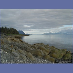 2006_0950_Cape_Fanshaw.JPG