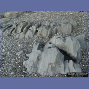 2006_0960_Cape_Fanshaw.JPG
